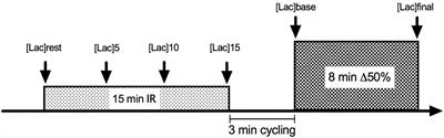 Thigh Ischemia-Reperfusion Model Does Not Accelerate Pulmonary VO2 Kinetics at High Intensity Cycling Exercise